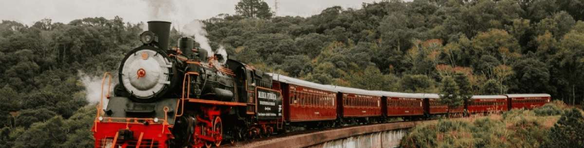 Circuito Raizes do Sul
